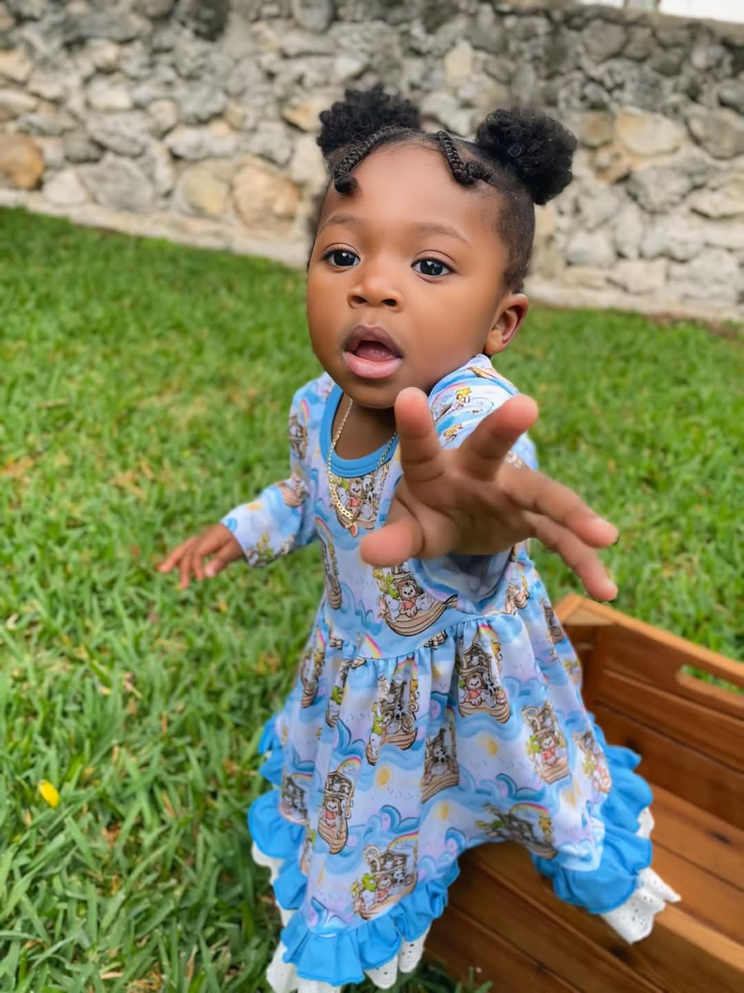 Noah's Ark Bamboo & Lace Long Sleeve Twirler Dress